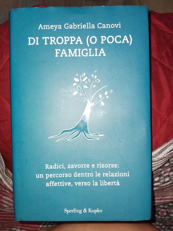 Di troppa (o poca) famiglia