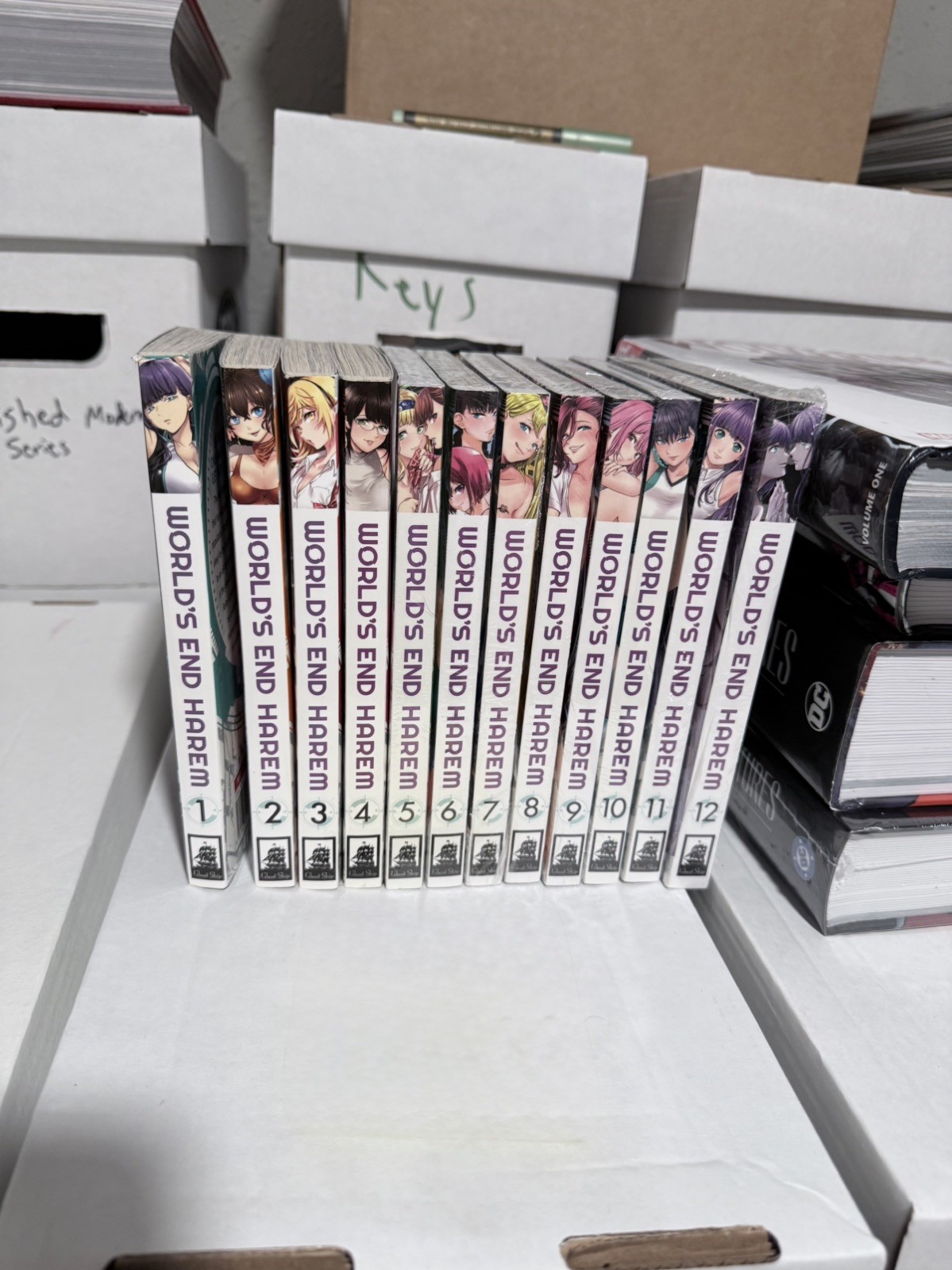 Worlds End Harem Manga Volumi 1-12 Inglese