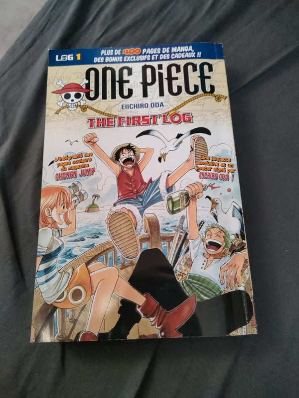 One piece the first log