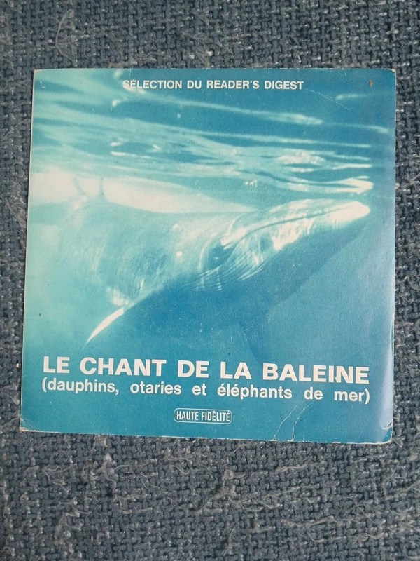 Vinyle 45 tours