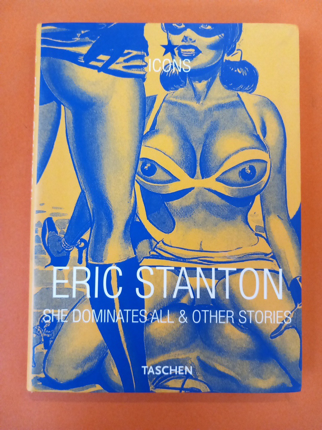 STANTON SHE DOMINATES ALL & OTHER STORIES ED TASCHEN COMME NEUF