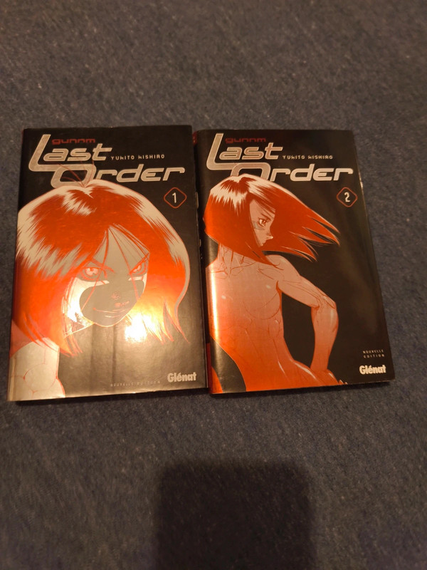 Manga Last Order