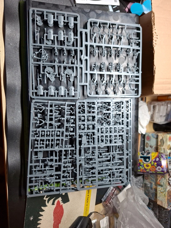 20 khemri warriors