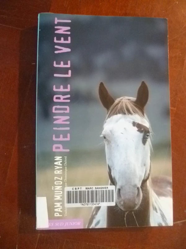 Peindre le vent, par Pam Munoz Ryan