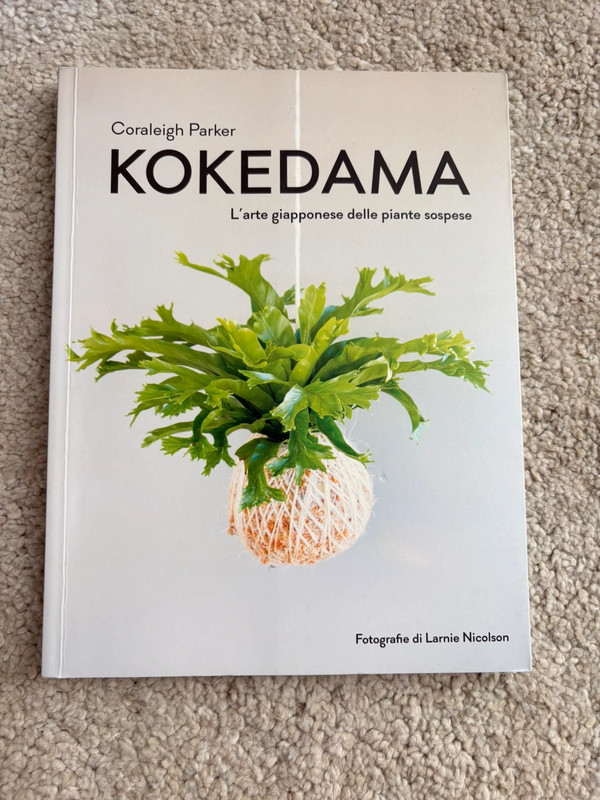 Kokedama