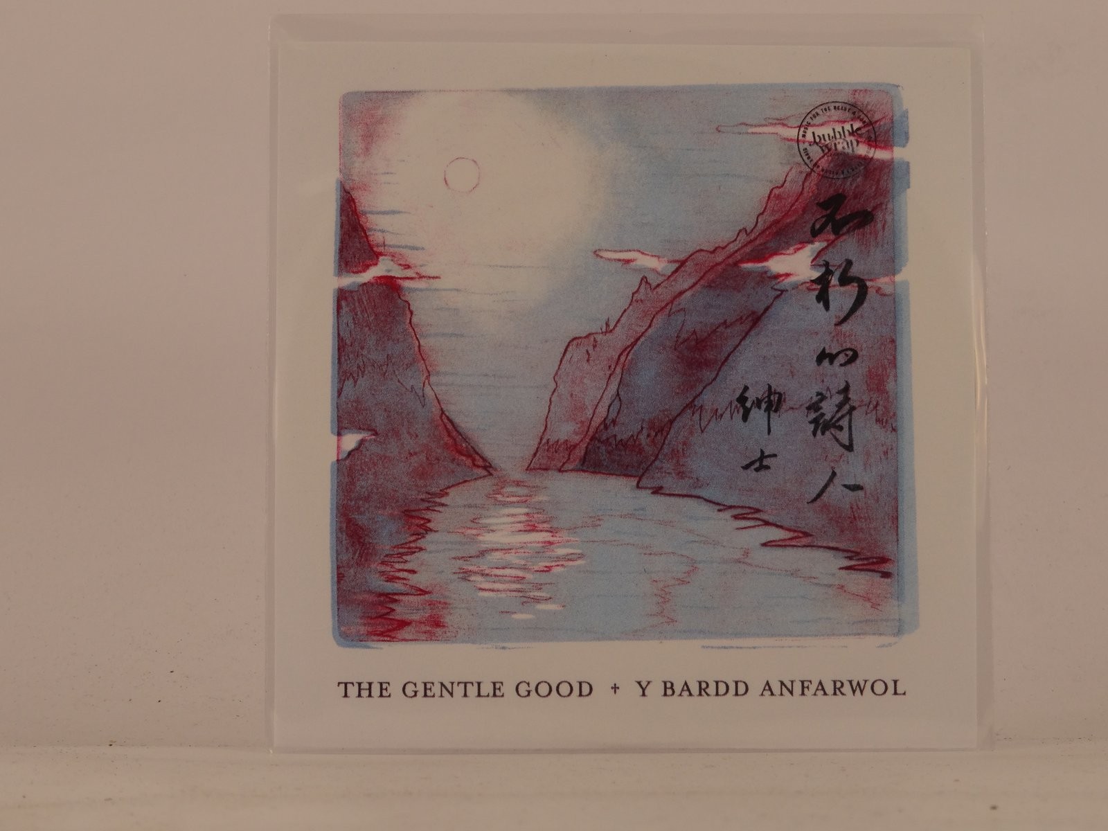 Y BARDD ANFARWOL THE GENTLE GOOD (595) 11 Track Promo CD Album including Picture