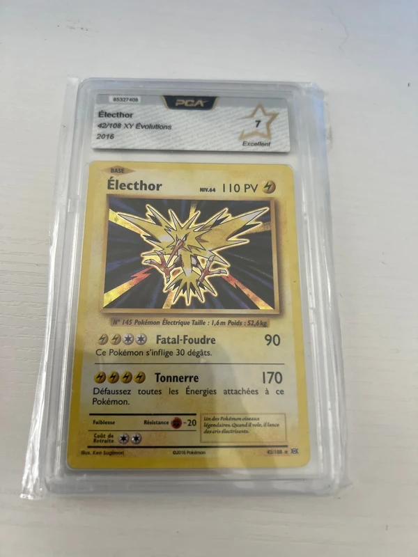 Elector holo xy évolution