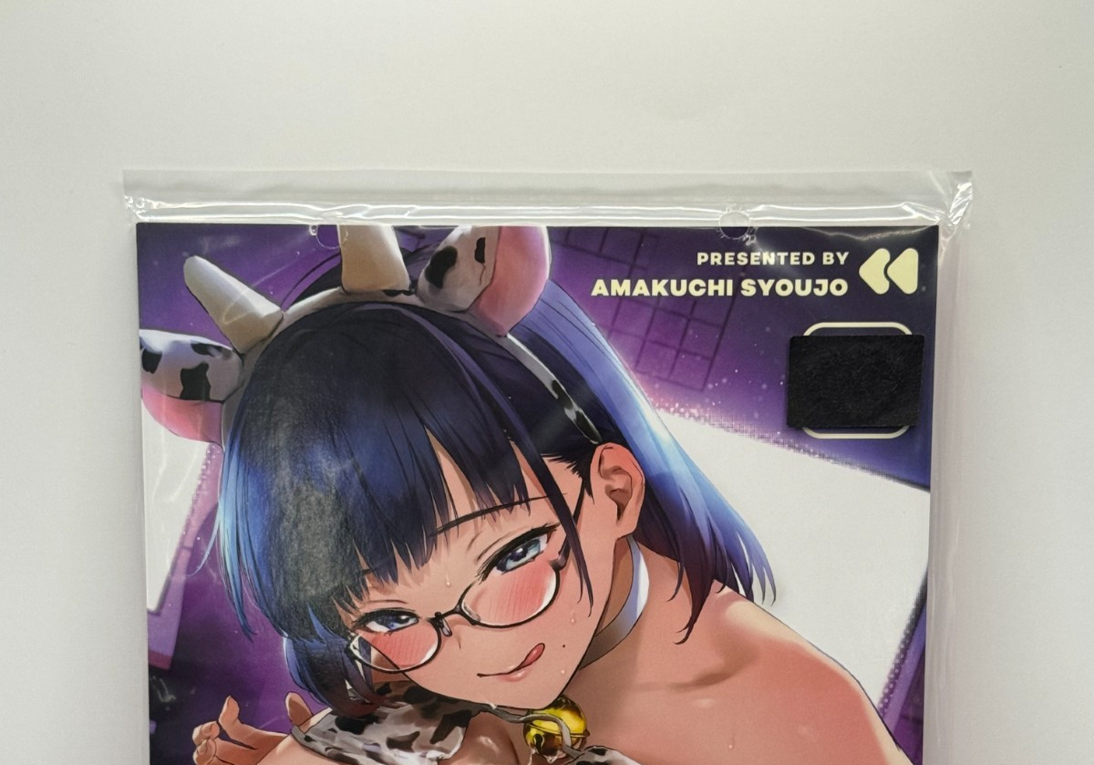 Doujinshi / Illustrazione Giappone