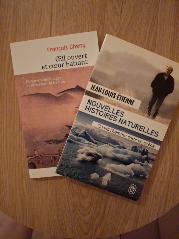 Lot de 2 livres de poche