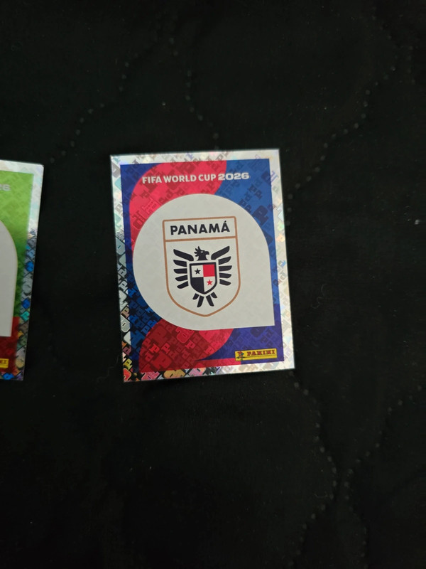 Pan 1 panini