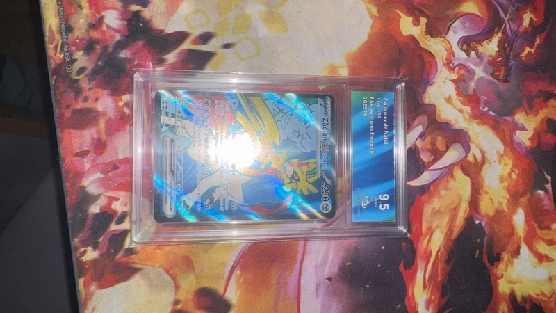 carte pokemon