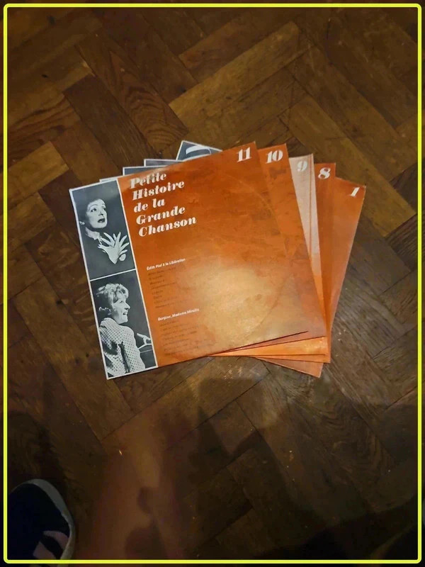 Lot vinyles petite historique de la grande chanson