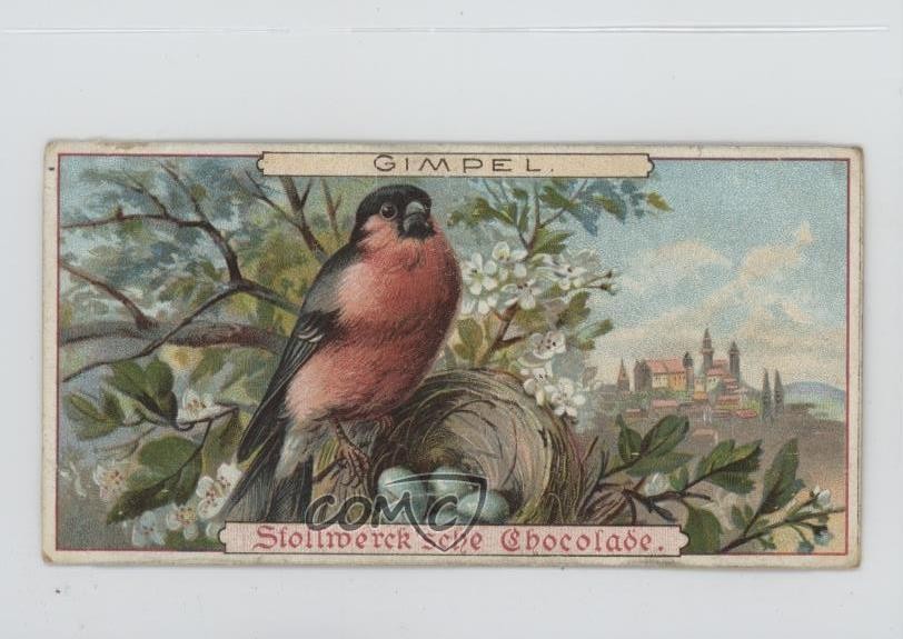 1899 Stollwerck Album Cioccolatini 3 Edizione Alimentare Gimpel #91-6 15ia