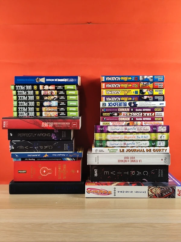 mangas lot de livres & mangas vente uniquement du lot