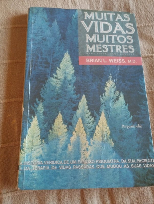 Muitas vidas muitos mestres