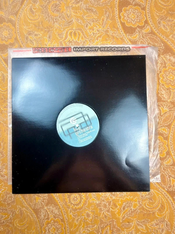 Bug Orchestra - Find Your Future (1998) - Elypsia Records