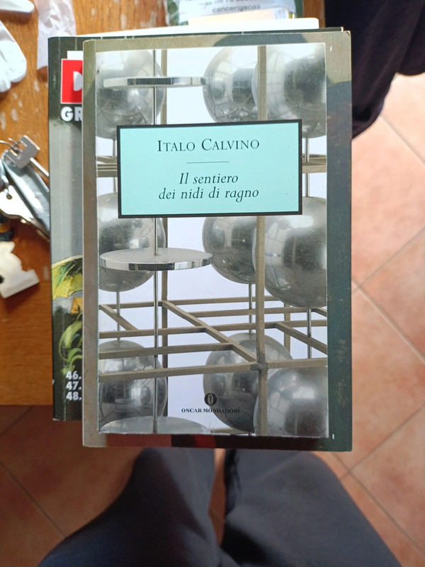 Il sentiero dei nidi di ragno - Italo Calvino