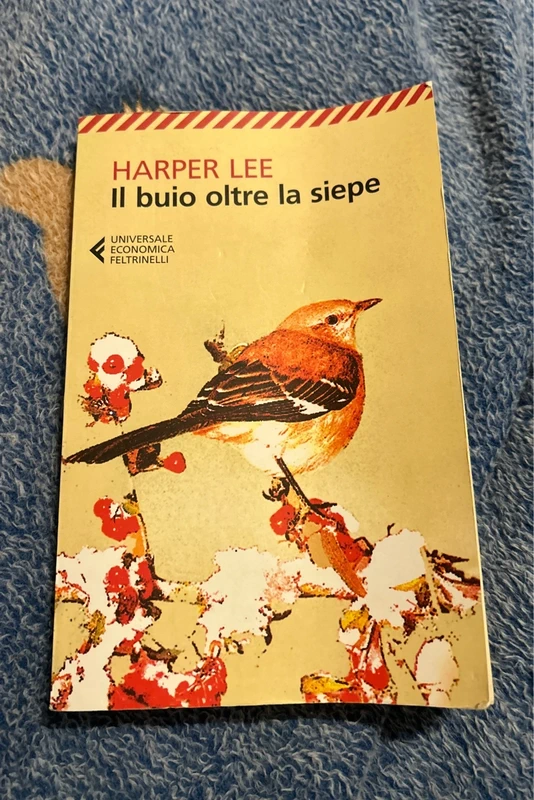 Il buio oltre la siepe (Italian Edition) - Lee