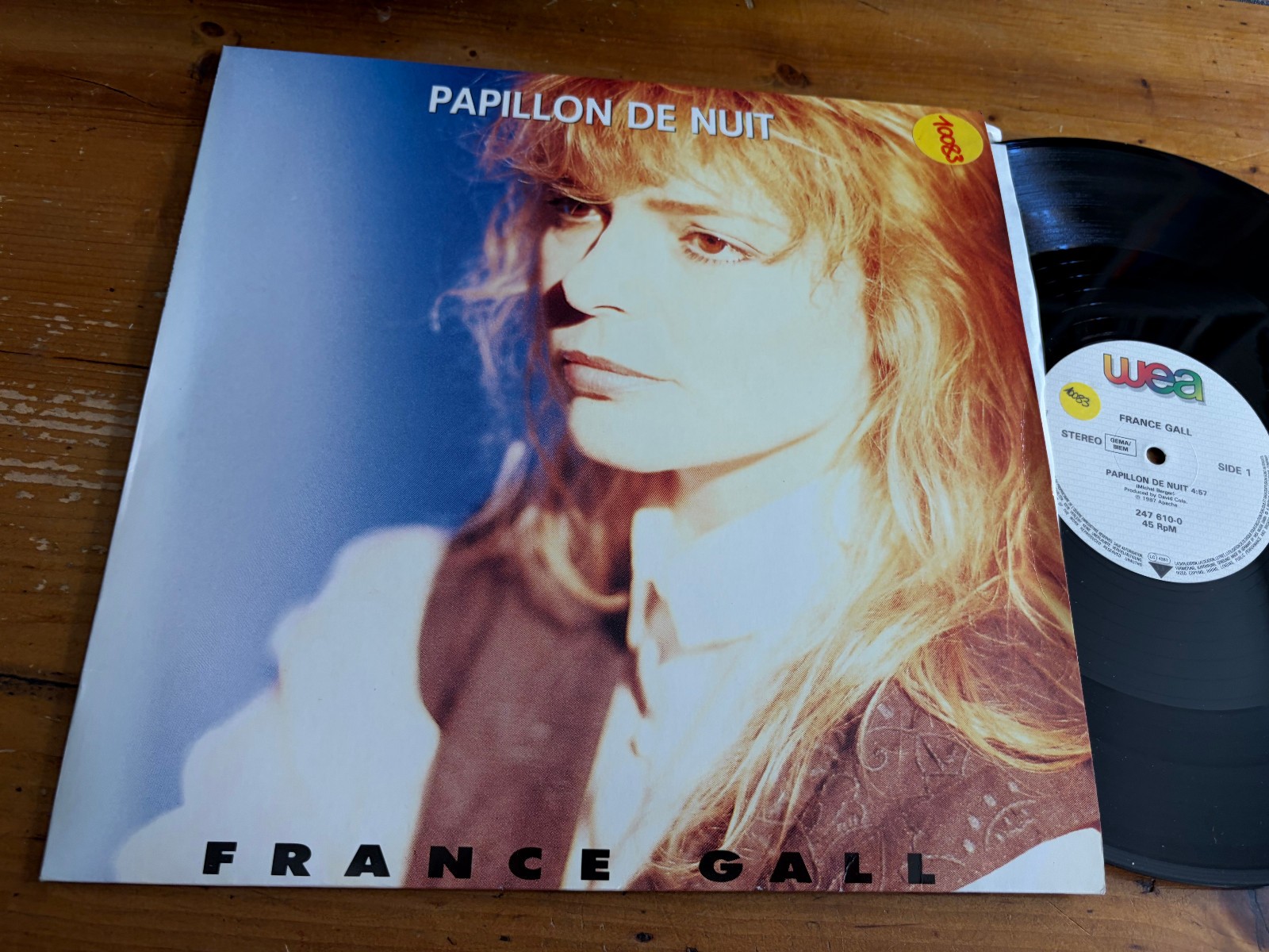 12"    1987 France Gall – Papillon De Nuit