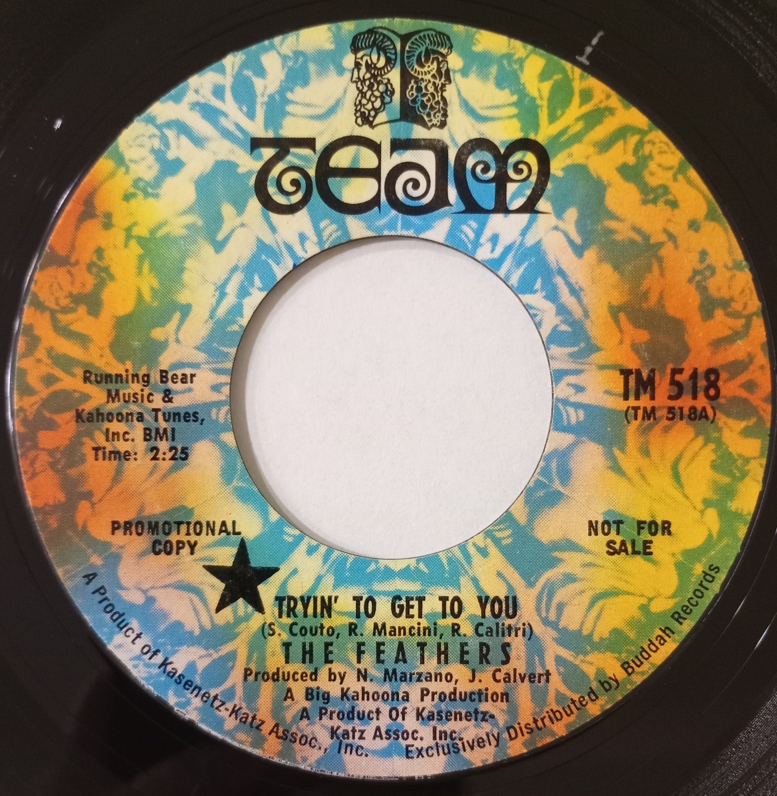 The Feathers - Tryin' To Get To You. 45. Team Records 1968 Psych