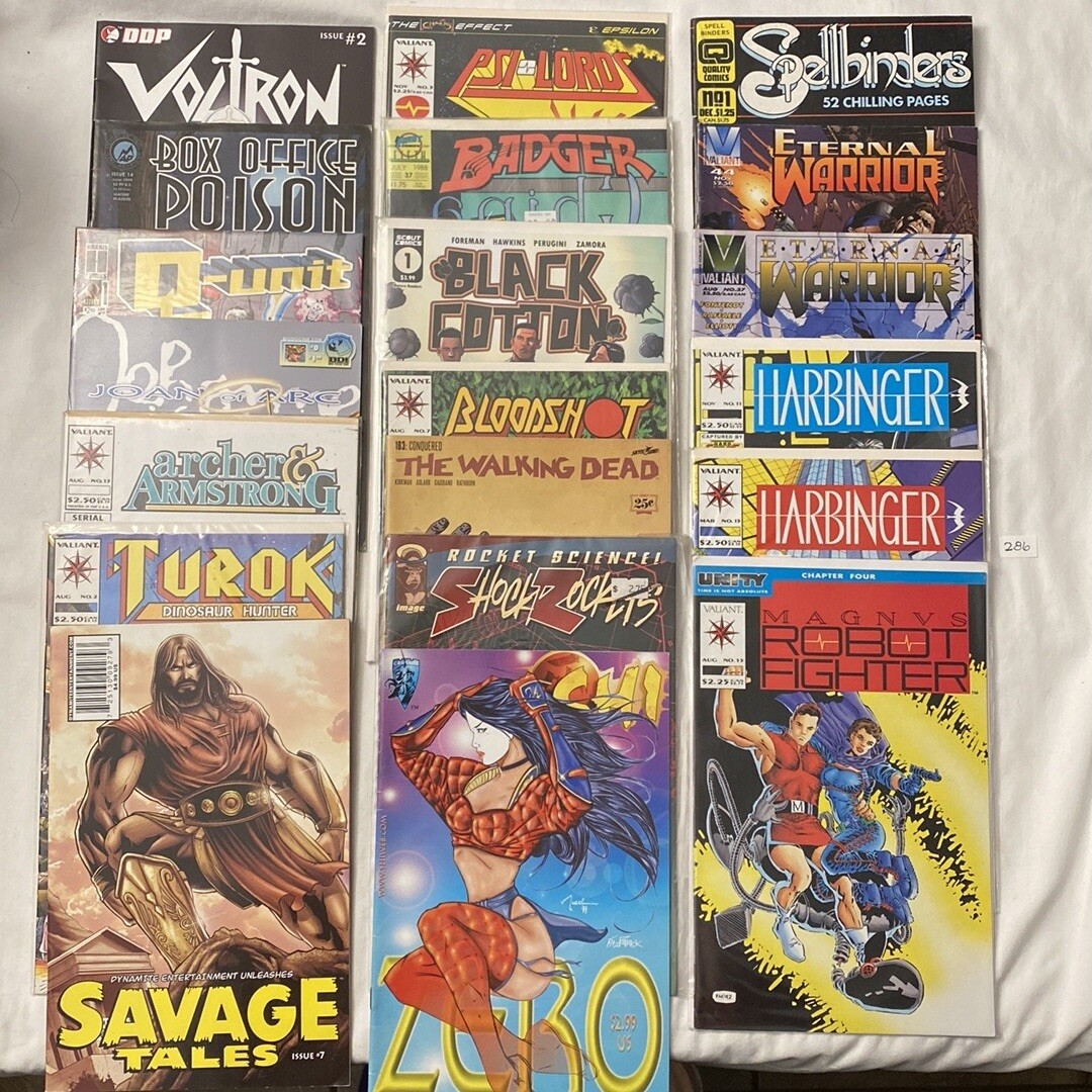 Lot of 20 Comic Books ~ Valiant ~ Image ~ Harris ~ DDP ~ Spell Binder Comics