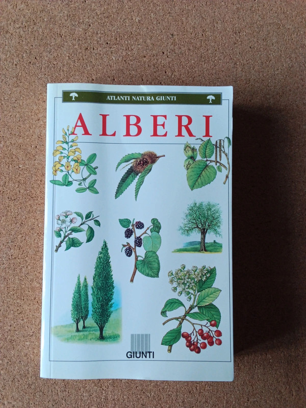 Libro Alberi