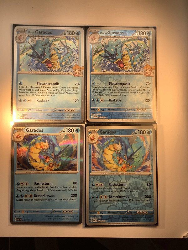 Garados Set DE