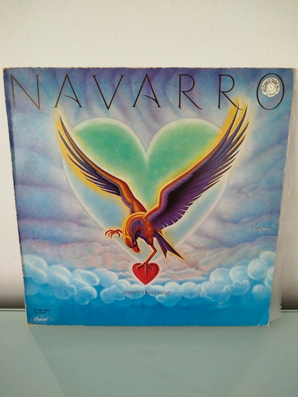 Vinilo Navarro Straight to The Heart