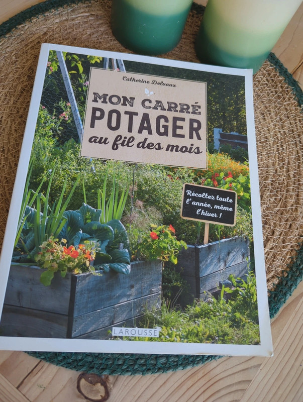 Mon carré potager au fil des mois