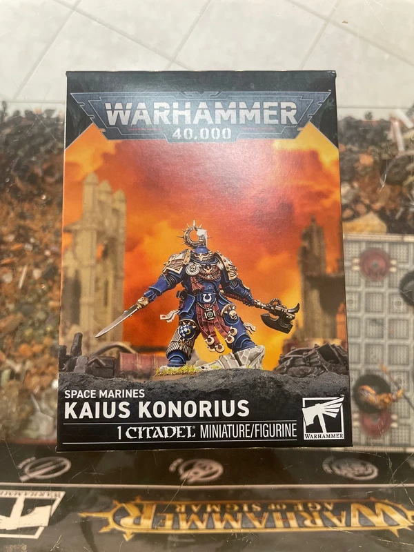 Kaius konorius