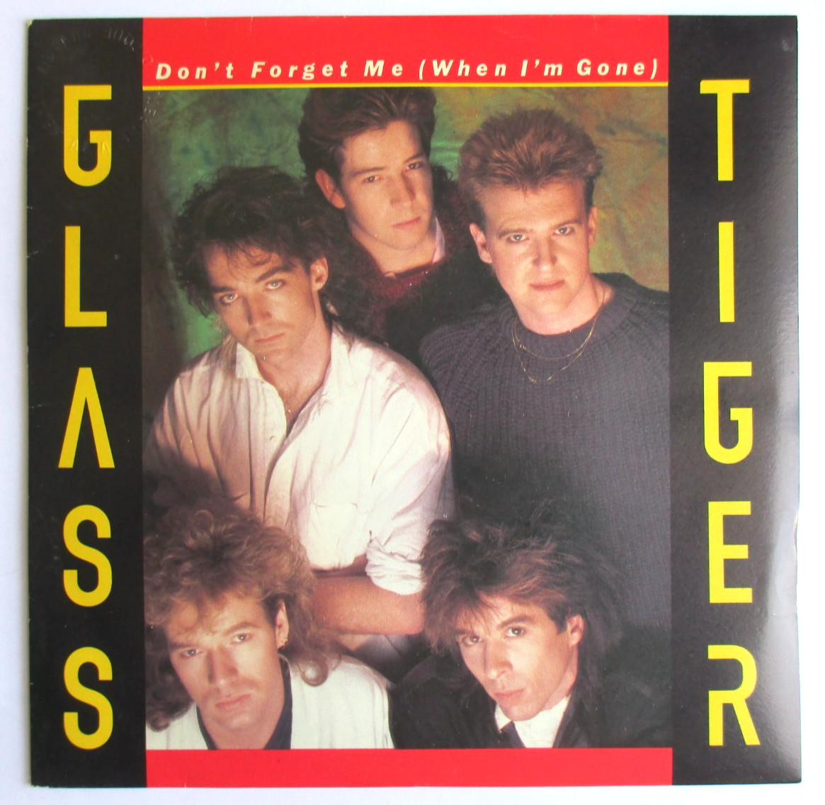 GLASS TIGER - FRANCE SP (7") "DON'T FORGET ME (WHEN I'M GONE)"
