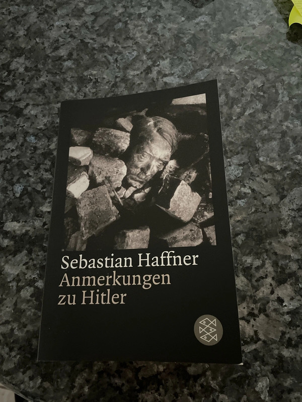 Buch Anmerkungen zu Hitler