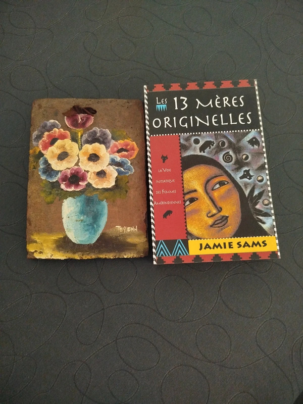 Lot dont livre les 13 mères originelles de Jamie Sams