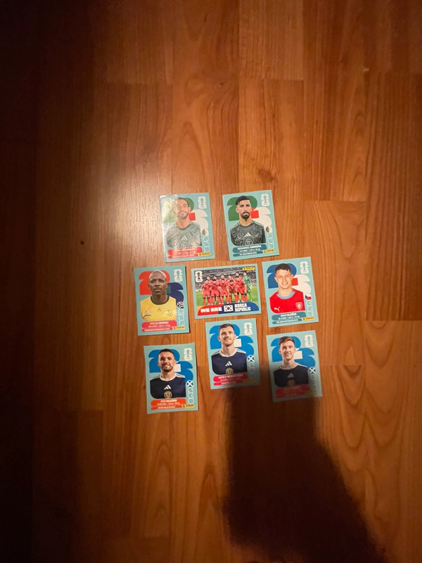 Cartes panini
