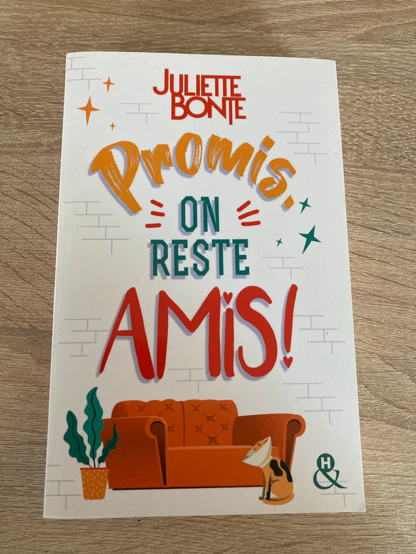 Promis on reste amis de Juliette bonte