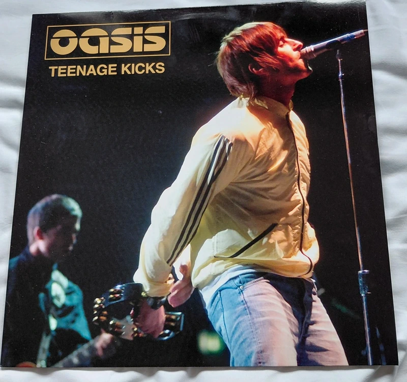 Oasis- Live in Belfast 2002
