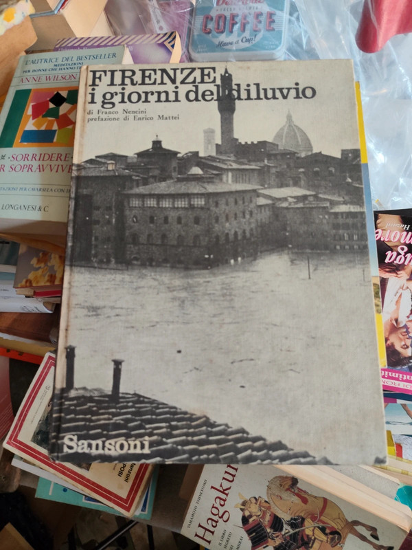 Libro Firenze il giorno del diluvio
