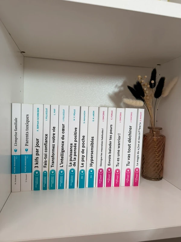 Lot 14 livres développement personnel