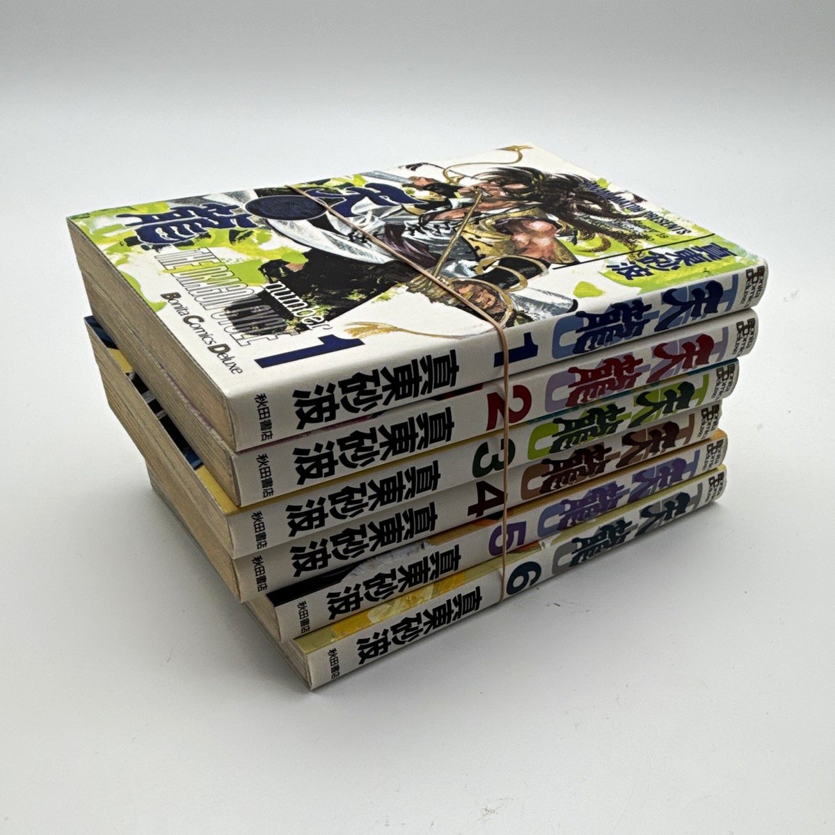 天龍 THE DRAGON CYCLE Vol 1-6 lotto manga fantasy giapponese in bianco e nero copertina morbida 真東砂波
