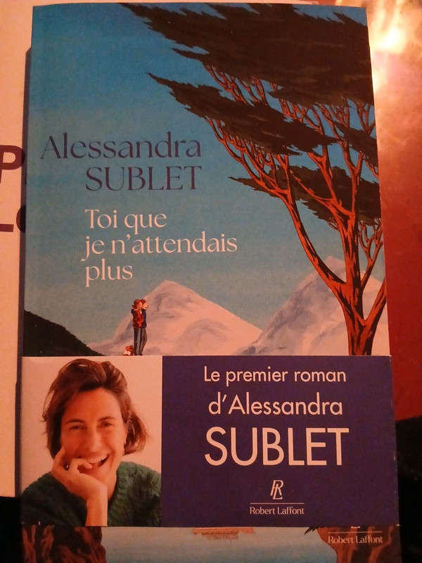 Toi que je n’attendais plus d’Alessandra Sublet