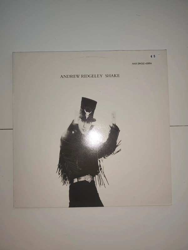 Andrew Ridgeley "Shake" Disque vinyle 12"