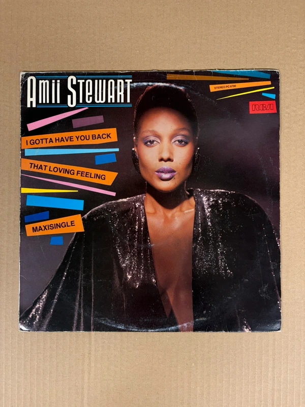 Amii Stewart - I Gotta Have You Back - 12" in vinile promo
