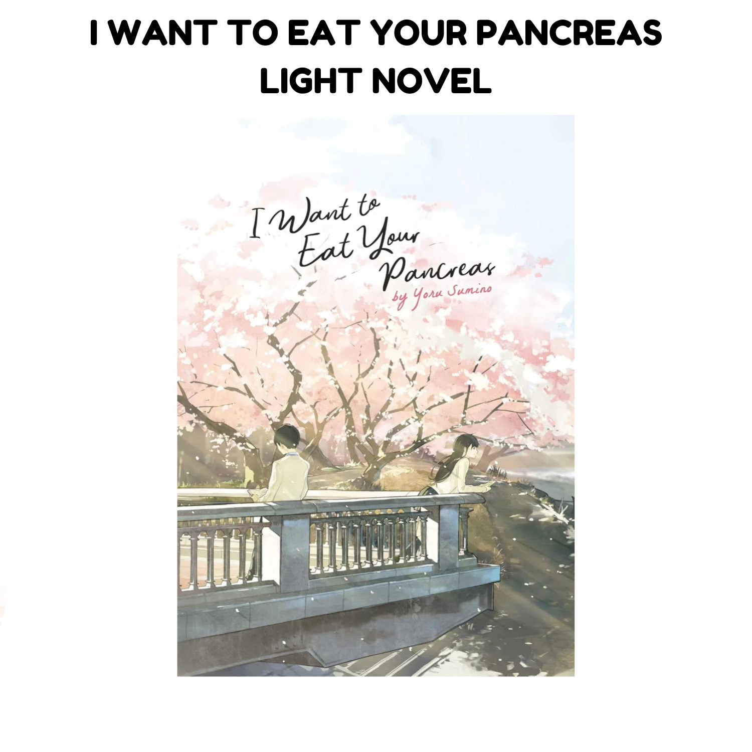 Voglio mangiare il tuo pancreas di Yoru Sumino light novel versione inglese