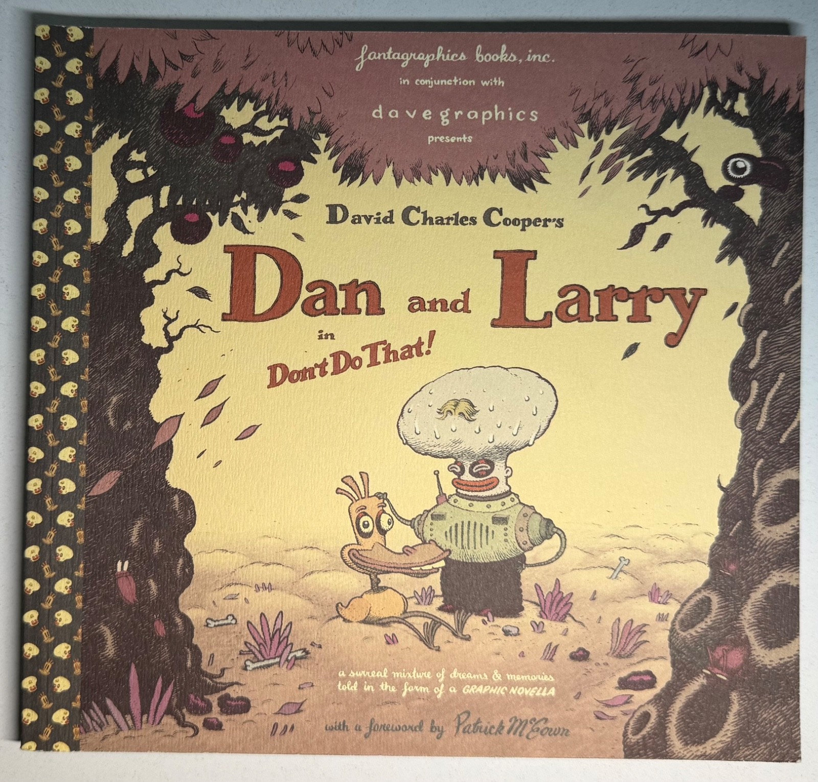 Dan e Larry in Non farlo! Graphic Novel di David Cooper Fantagraphics Books