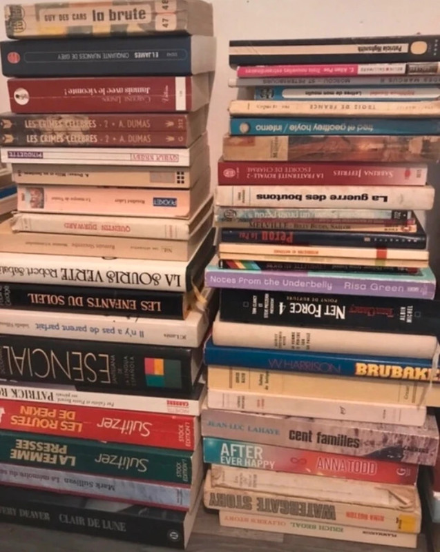 Lot 40 livres📚 16€