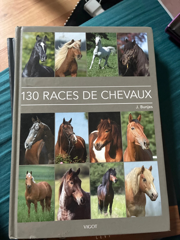 livre sur les chevaux