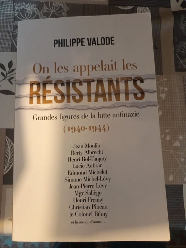 On les appelait les résistants