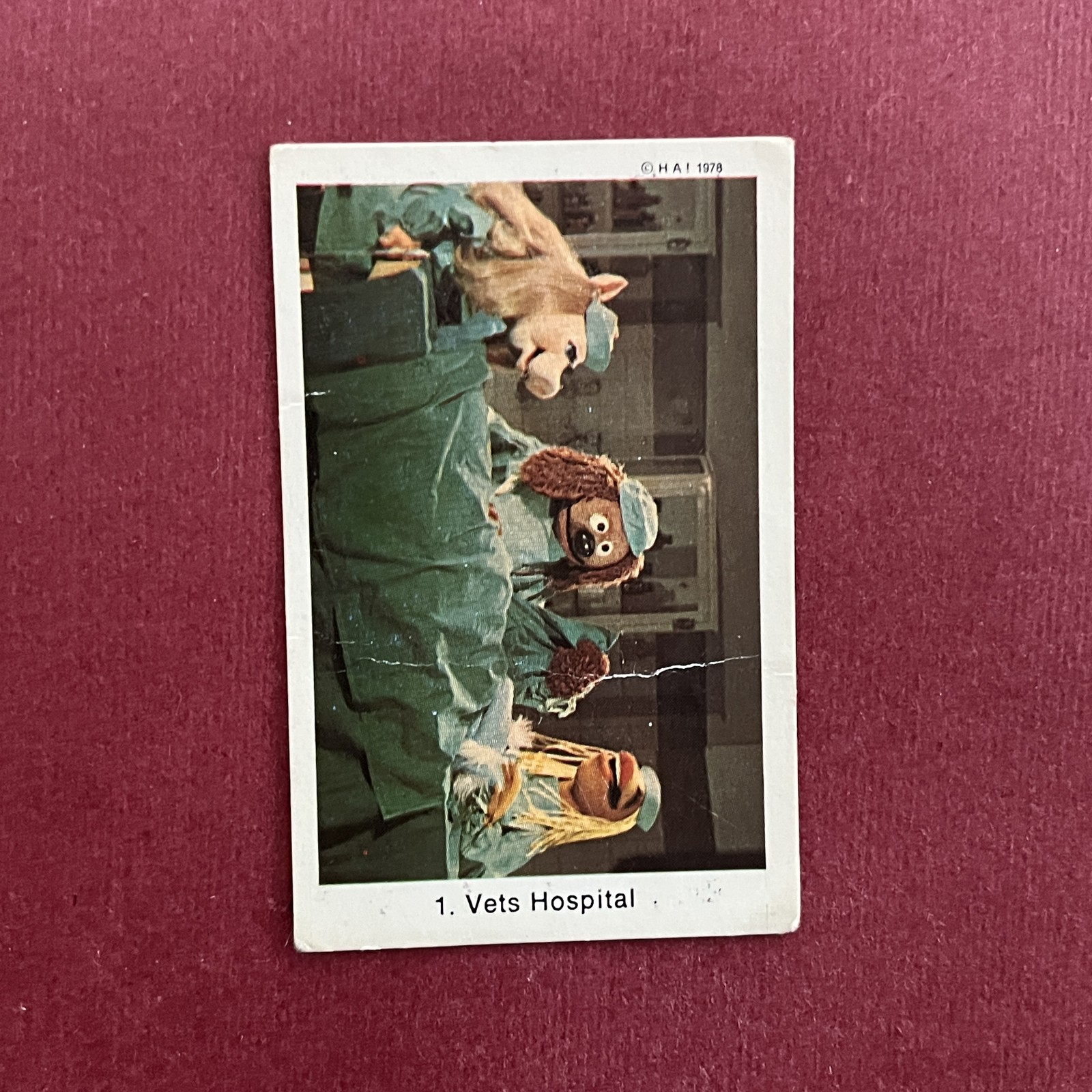 Vets Hospital 1979 Swedish Samlarsaker Popbilder #1 Trading Card