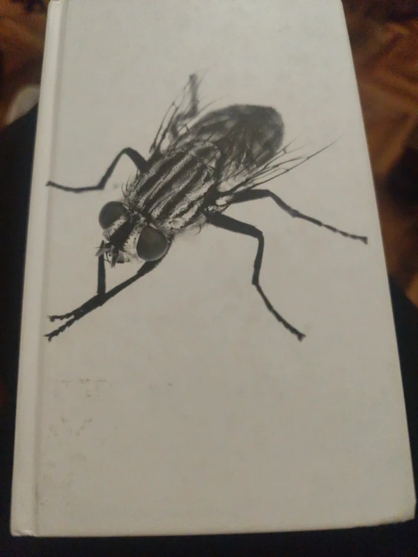 Libro ghiaccio nero