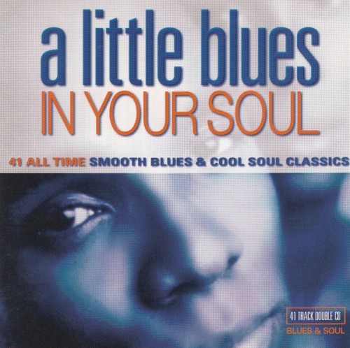 Various Artists A Little Blues in Your Soul (687) 41 Track CD Album plus Picture